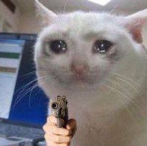 Meet your Posher, Oj